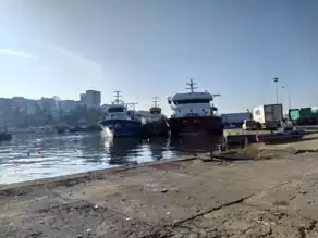 Akçakoca'da Hamsi Sezonu Başladı!