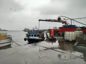 Kıyı Şehrinde Fırtına ve Yağmur!