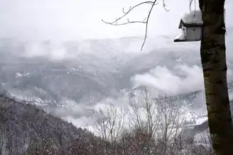 Bolu Dağı'nda Sis, Görüş Mesafesini Azalttı