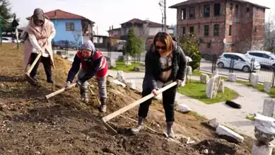 Düzce Belediyesi, Antik Kent Kazısında!