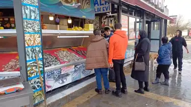 Karadeniz'den Bol Balık Düzce'ye Akıyor