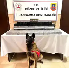 Düzce'de 1690 Paket Kaçak Sigara Yakalandı