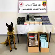 Düzce'de Büyük Kaçakçılık Operasyonu: 7 Dinamit ve 75 Bin Makaron Ele Geçti!