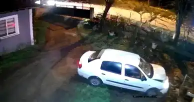 Düzce'de Korkunç Kaza: Köpek Öldü, 1 Yaralı!