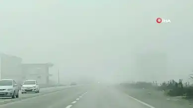 Düzce'de Yoğun Sis Ulaşımı Felç Etti