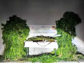 Düzce'de Kapsamlı Uyuşturucu Operasyonu: 185 Gözaltı