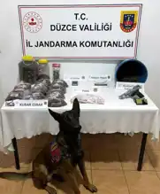 Düzce'de Büyük Esrar Operasyonu: Gözaltı