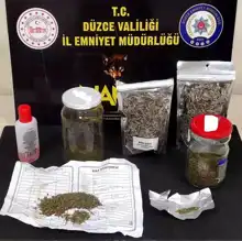 Düzce'de Uyuşturucu Operasyonu: 70 Gram Bonzai Ele Geçirildi