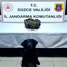 Düzce'de 1 Kilo Skunk Ele Geçirildi