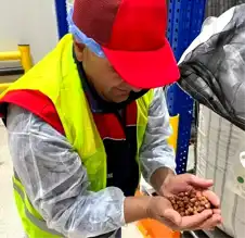 Düzce'den 20 Bin Ton Tarım Ürünü İhracatı