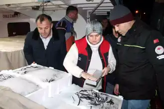 Hamsi Avı Denetimleri: Akçakoca Limanı