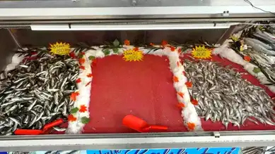 Kar Yağdı, Hamsi Yok! Batı Karadeniz'de Fırtına Etkisi