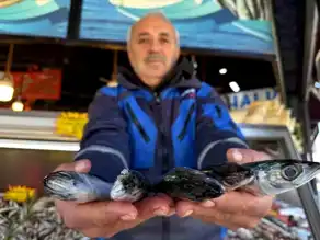 Düzce'de Palamut Zamanda!