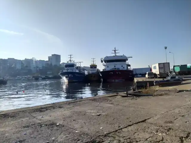 Akçakoca'da Hamsi Sezonu Başladı!
