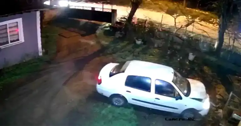 Düzce'de Korkunç Kaza: Köpek Öldü, 1 Yaralı!