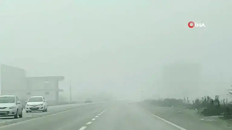 Düzce'de Yoğun Sis Ulaşımı Felç Etti