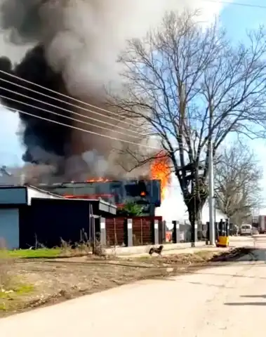 Düzce'de Tavuk Çiftliği Yandı!
