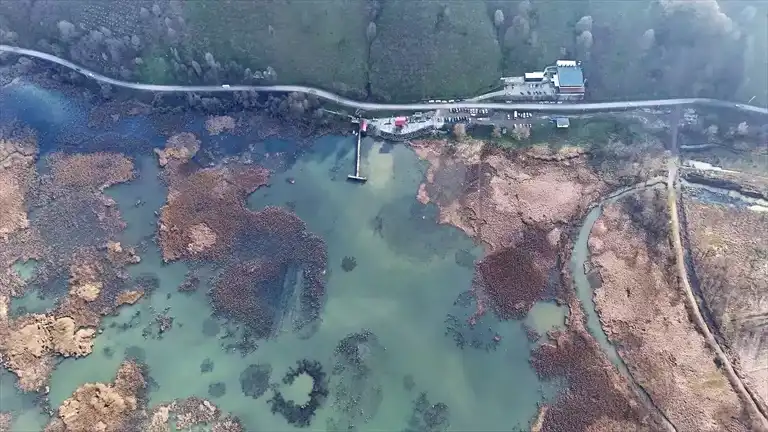 Efteni Gölü'nde Dünya Sulak Alanlar Günü Kutlaması