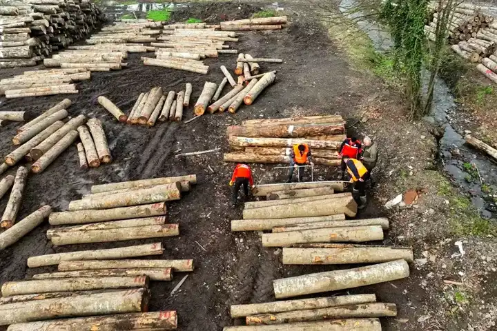 Gölyaka'da Barkodlu Orman Ürünleri İhalesi